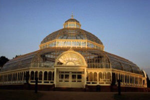 The Palm House