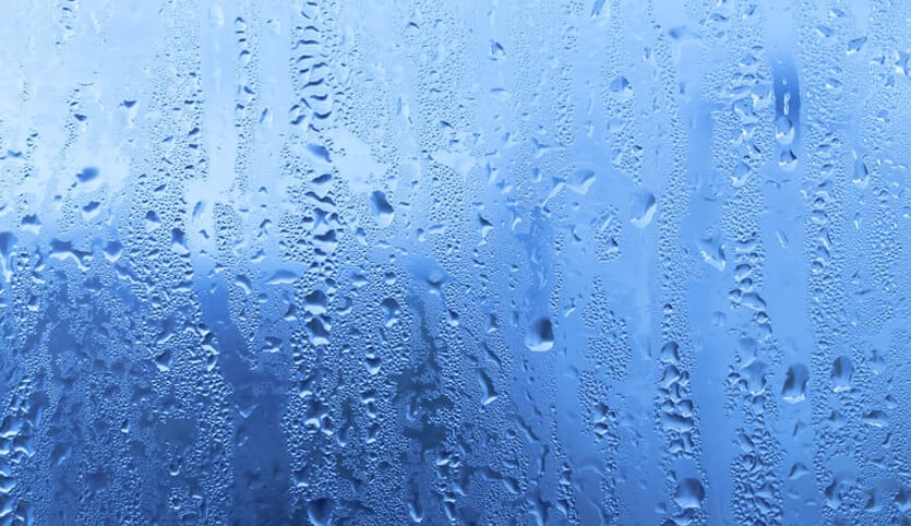 Window condensation close up