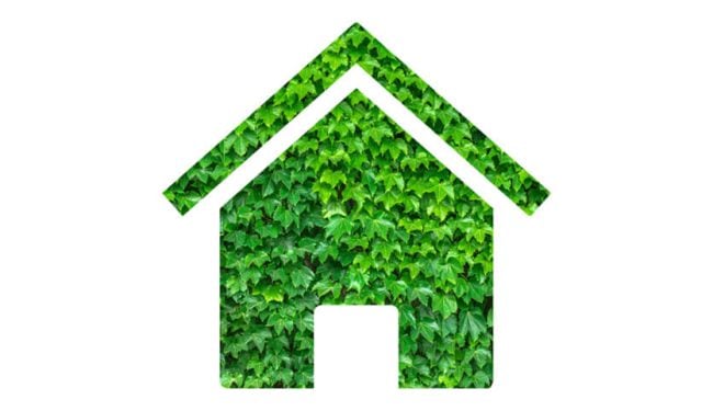 5 effective lifestyle adjustments to help save money and the planet in 2019