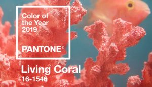 Pantone colour of the year 2019: Living Coral.