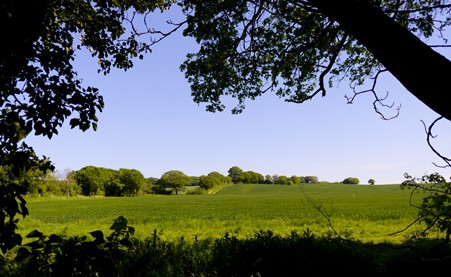 Essex countryside views.
