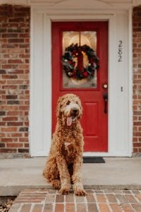 Red door christmas wreath