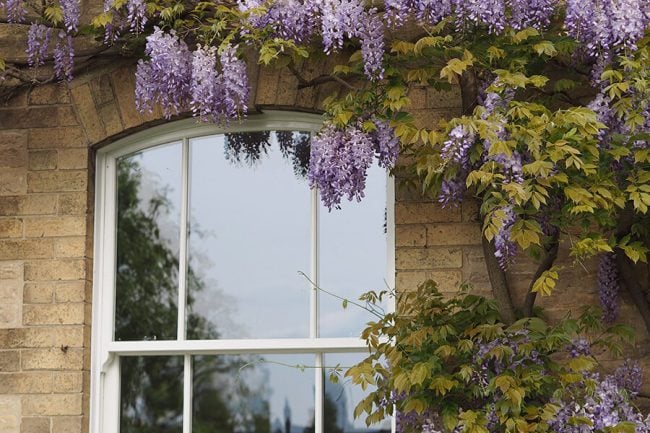 How to choose the right glass for your windows