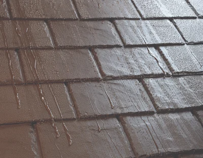Harvest Brown Tile